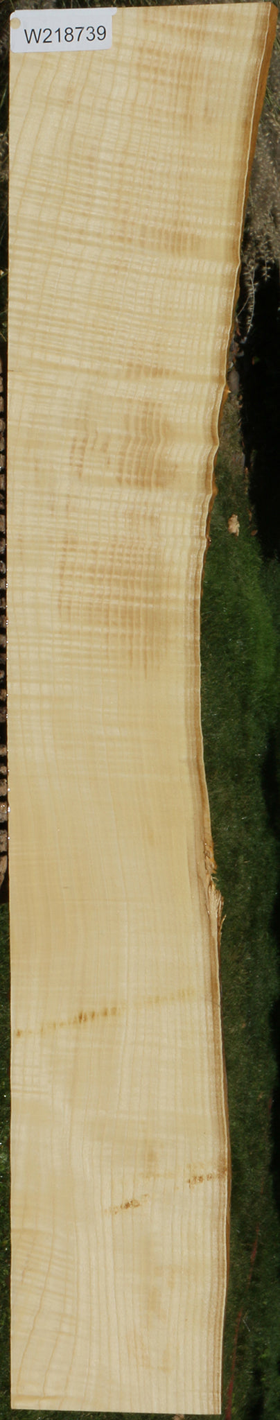 Extra Fancy Fiddleback French Ash Live Edge Lumber