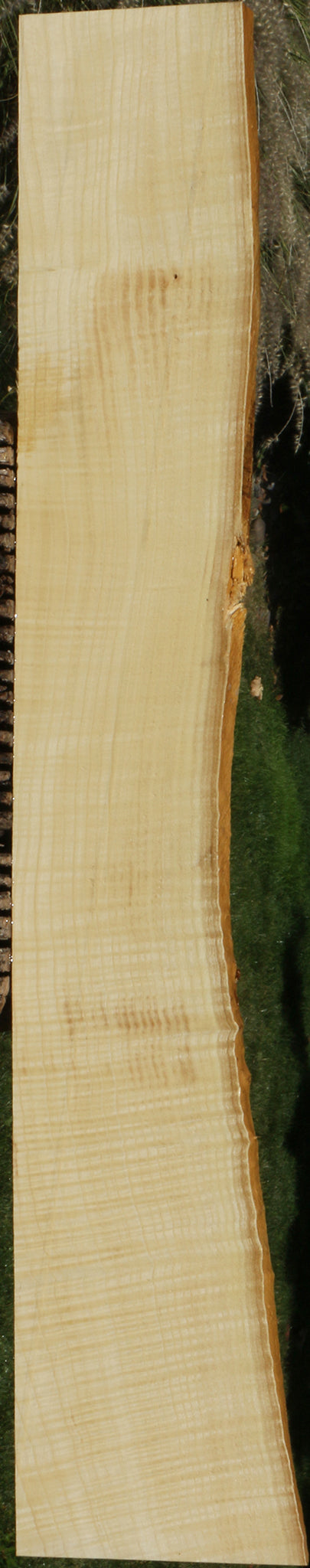 Extra Fancy Fiddleback French Ash Live Edge Lumber