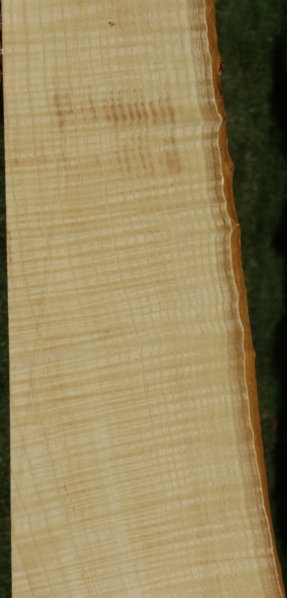 Extra Fancy Fiddleback French Ash Live Edge Lumber