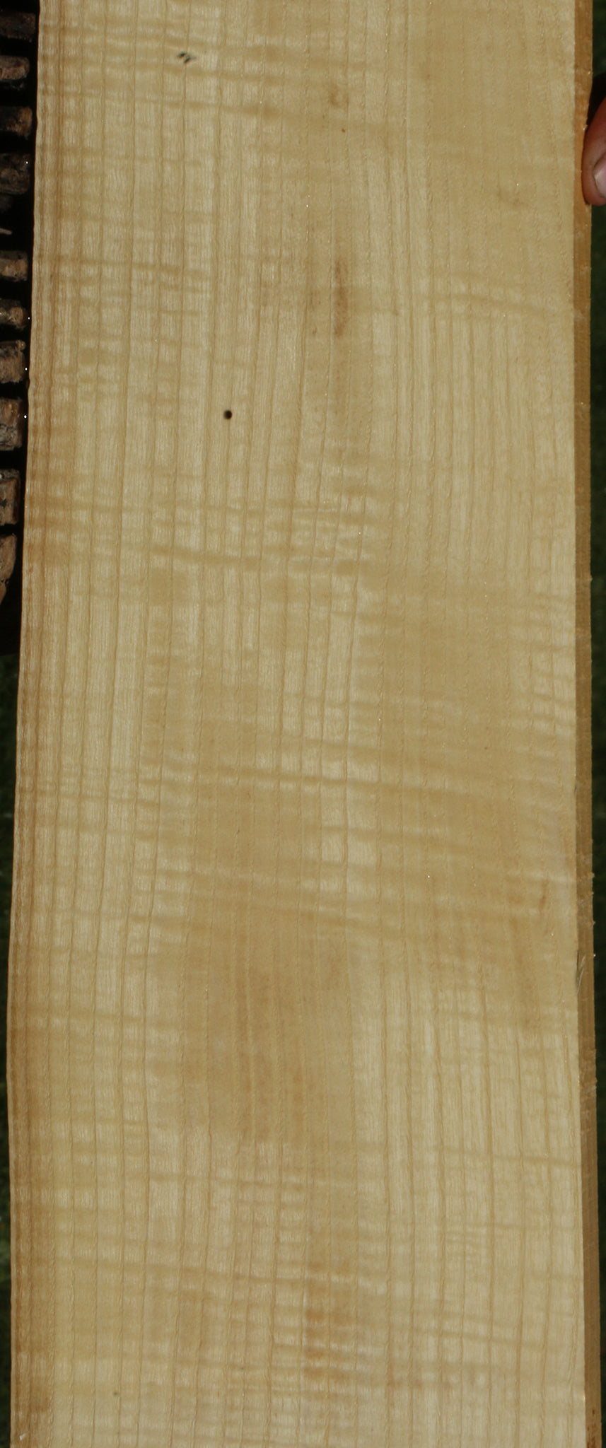 Extra Fancy Fiddleback French Ash Live Edge Lumber