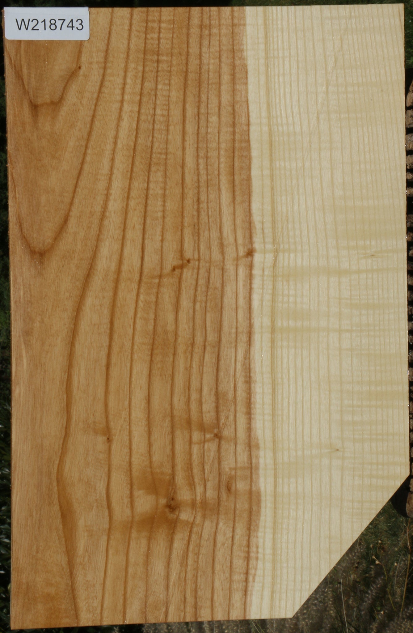 Extra Fancy Fiddleback French Ash Lumber