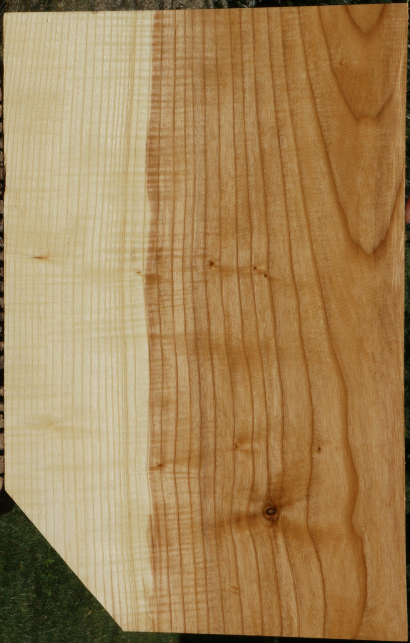 Extra Fancy Fiddleback French Ash Lumber