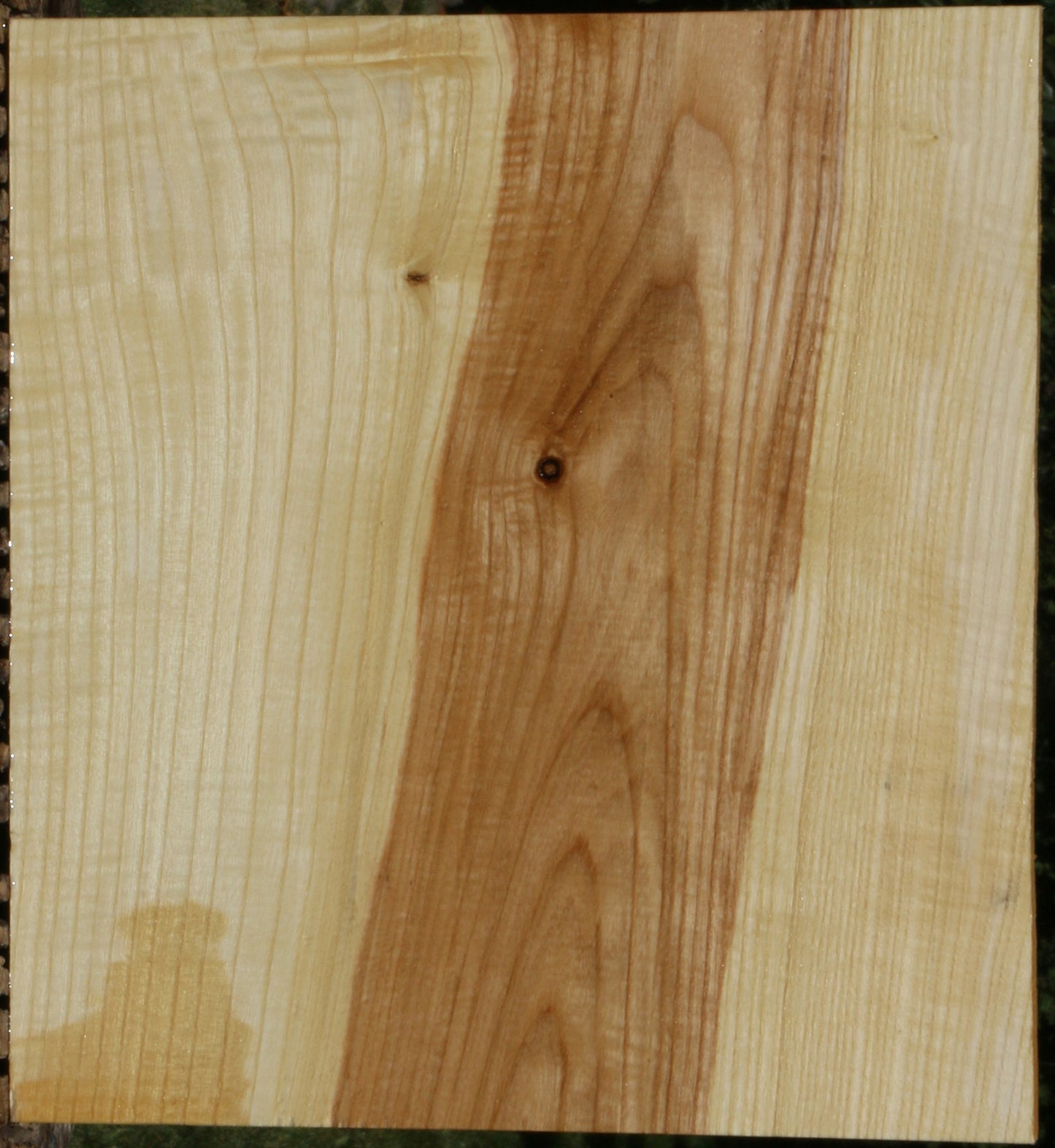 Extra Fancy Fiddleback French Ash Lumber