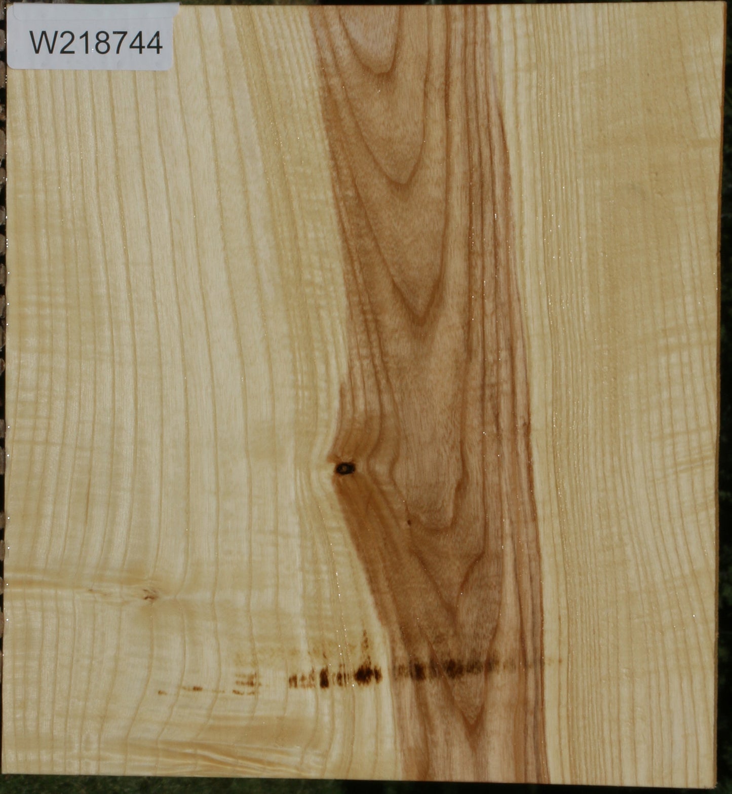 Extra Fancy Fiddleback French Ash Lumber