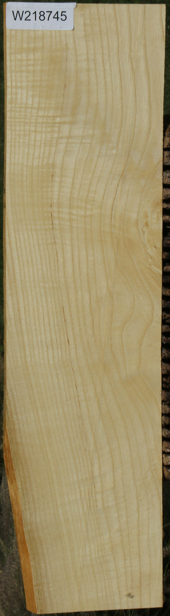 Extra Fancy Fiddleback French Ash Lumber