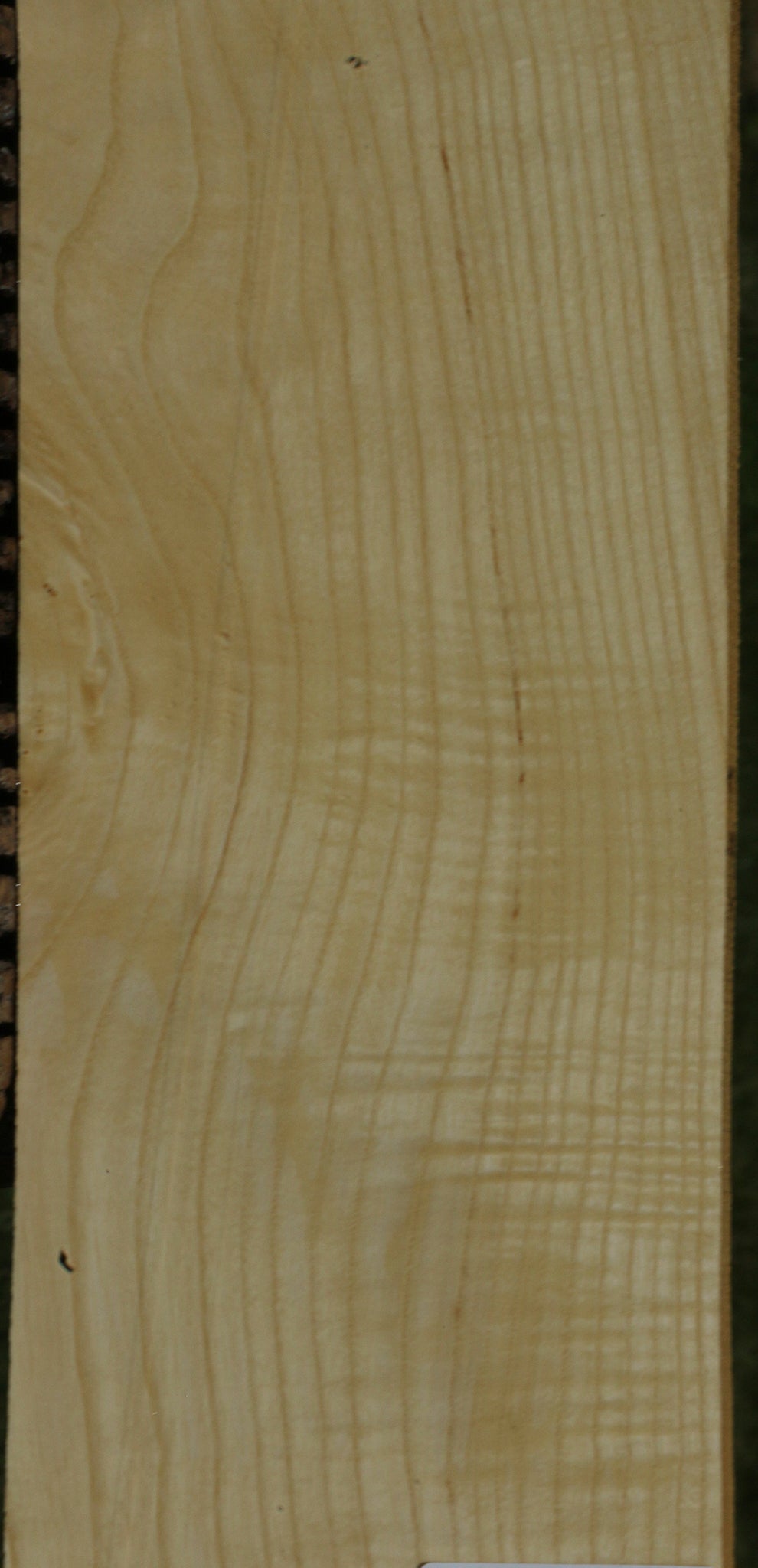 Extra Fancy Fiddleback French Ash Lumber