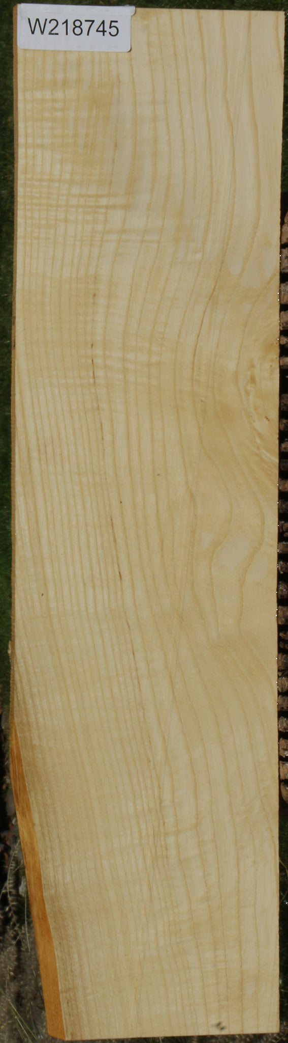 Extra Fancy Fiddleback French Ash Lumber