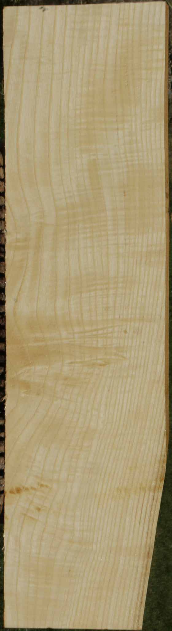 Extra Fancy Fiddleback French Ash Lumber