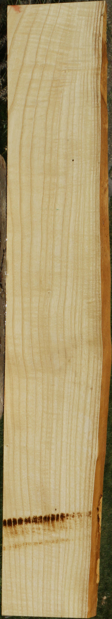 Extra Fancy Fiddleback French Ash Live Edge Lumber