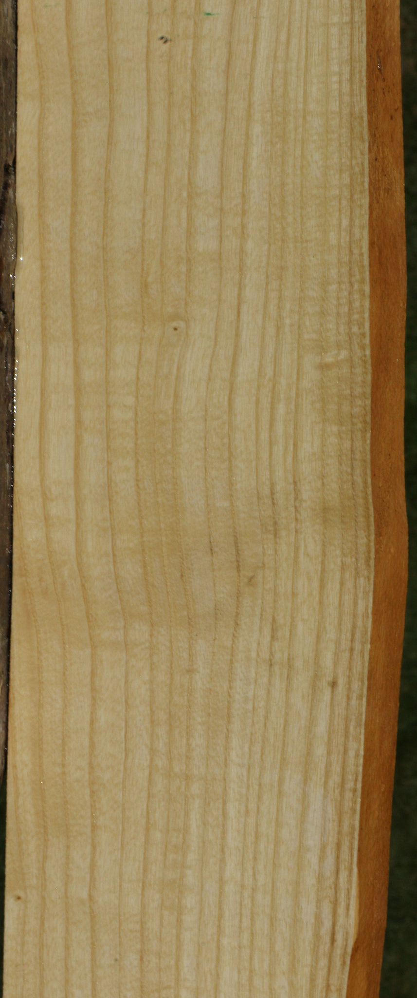 Extra Fancy Fiddleback French Ash Live Edge Lumber