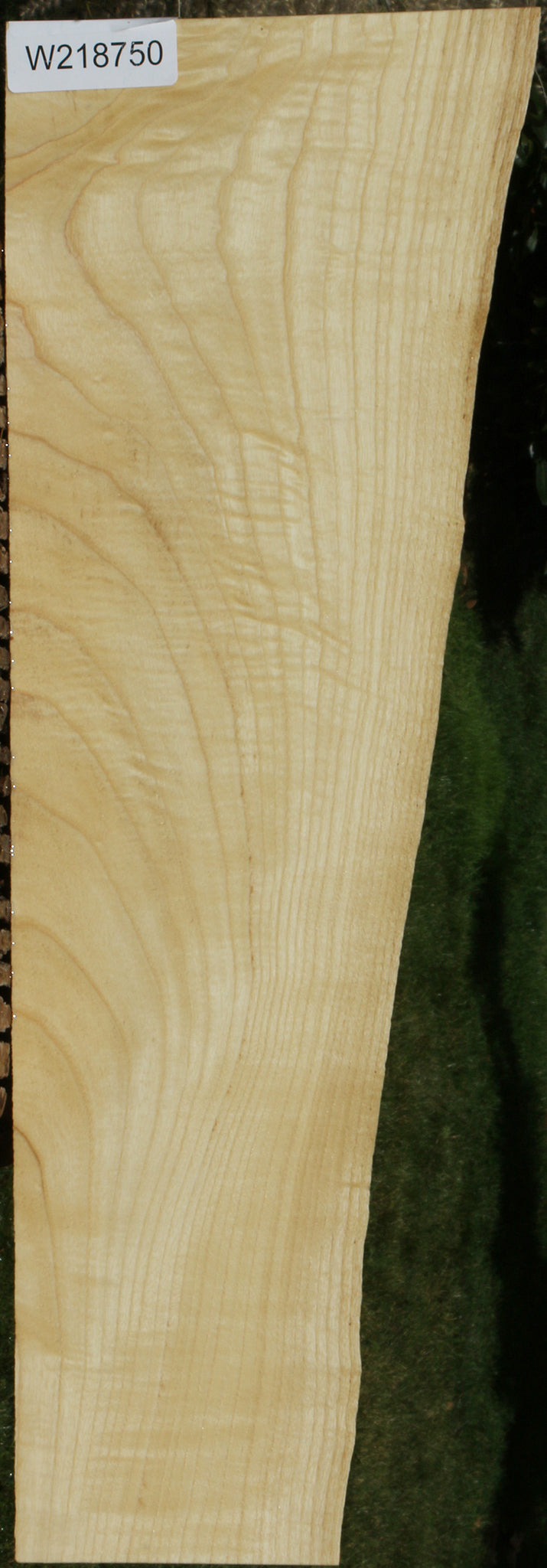 Figured French Ash Live Edge Lumber