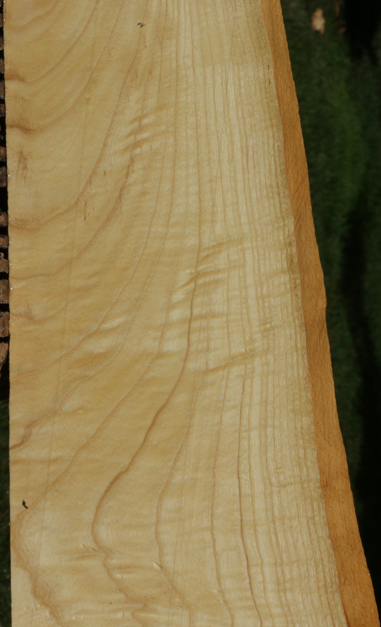 Figured French Ash Live Edge Lumber