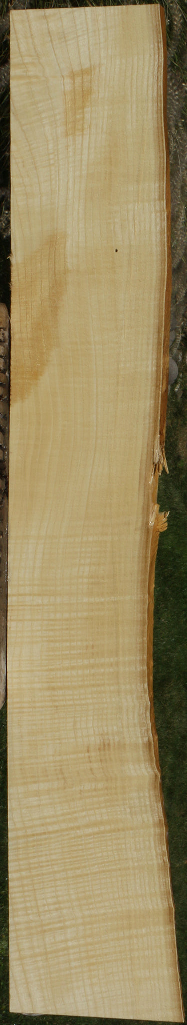 Extra Fancy Fiddleback French Ash Live Edge Lumber