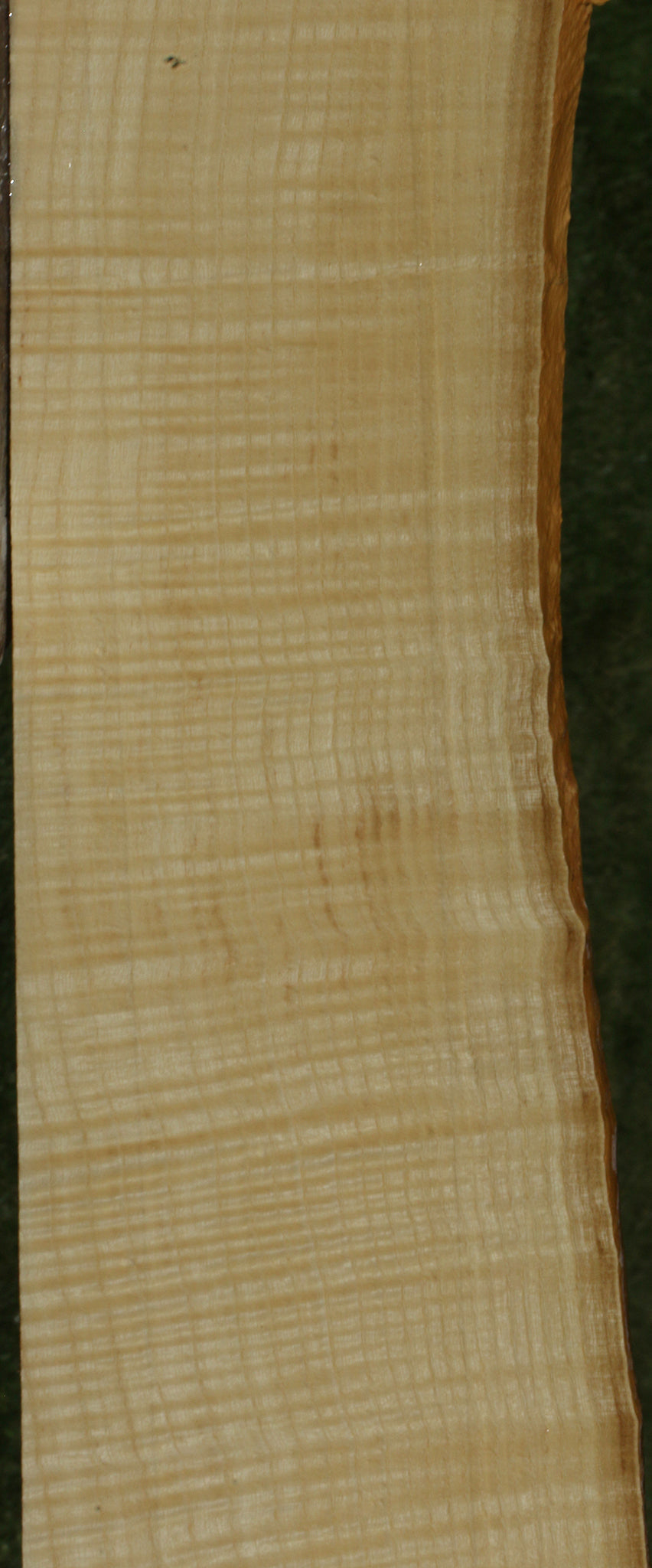 Extra Fancy Fiddleback French Ash Live Edge Lumber