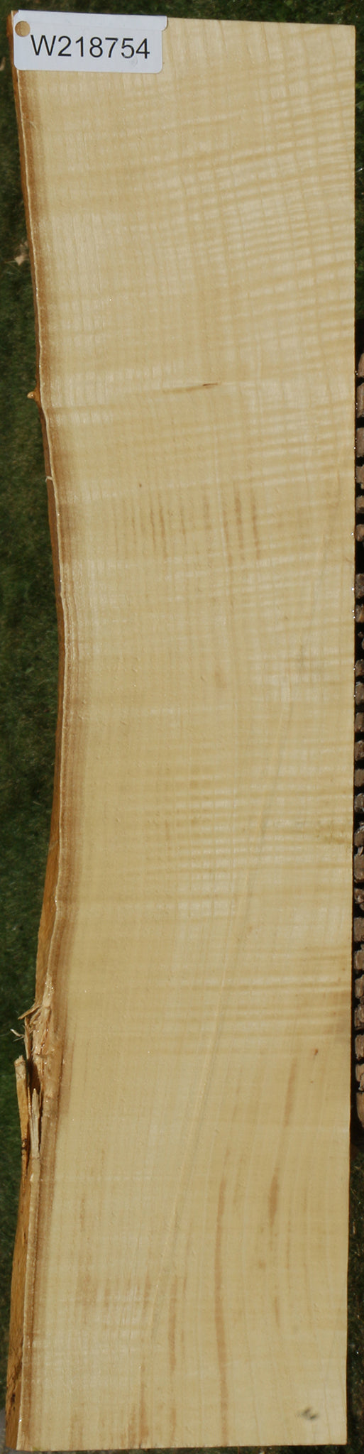 Extra Fancy Fiddleback French Ash Live Edge Lumber