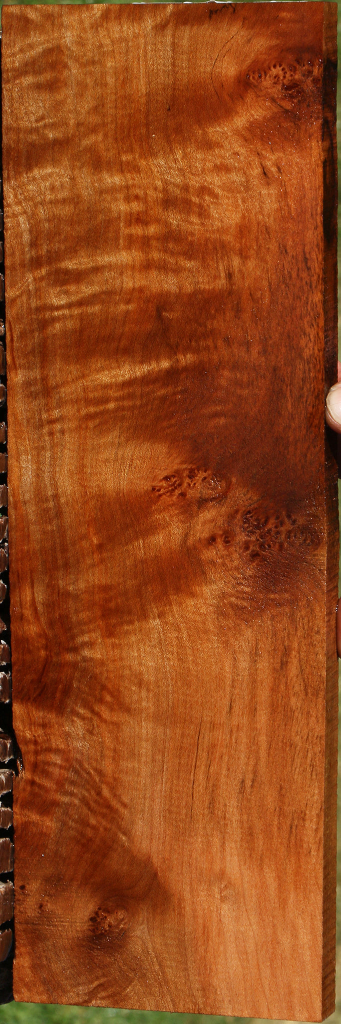 Maple Burl Lumber