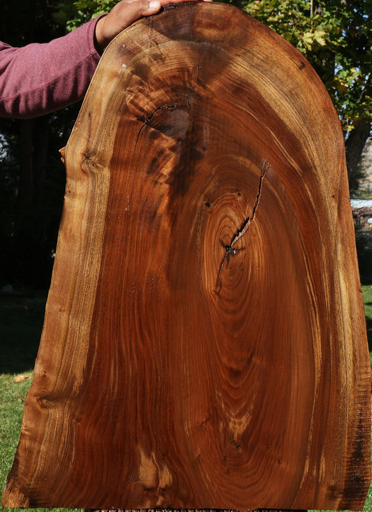 Claro Walnut Live Edge Mini Slab