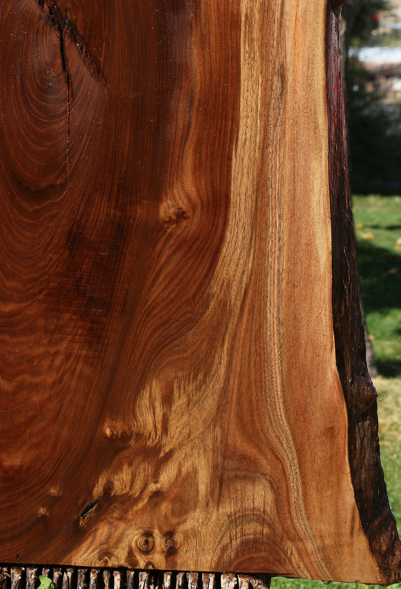 Claro Walnut Live Edge Mini Slab