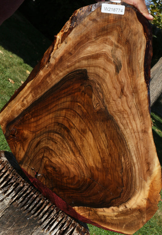 English Walnut Live Edge Lumber