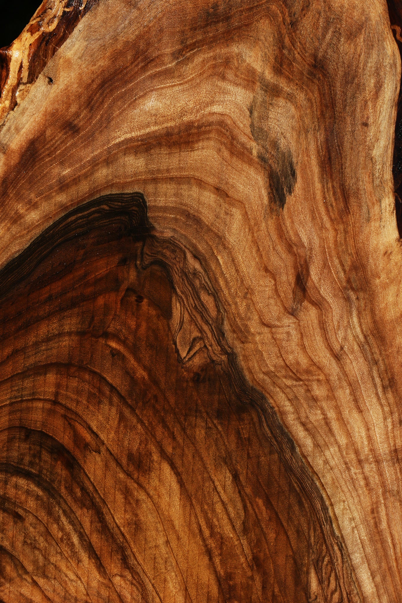 English Walnut Live Edge Lumber