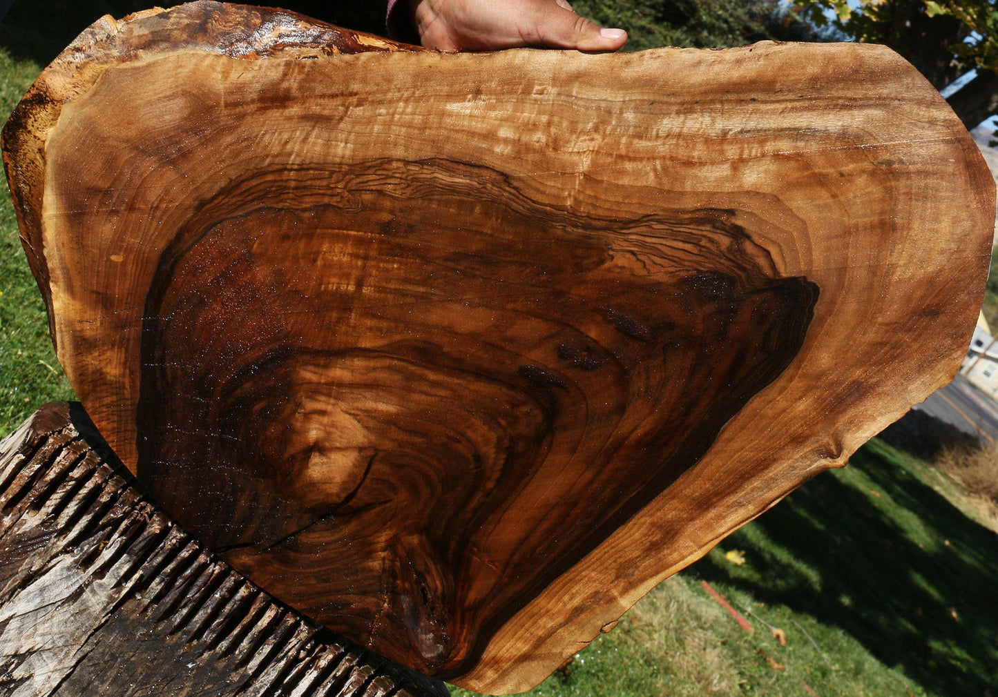 English Walnut Live Edge Lumber