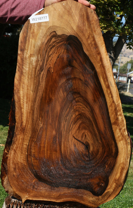 English Walnut Live Edge Lumber