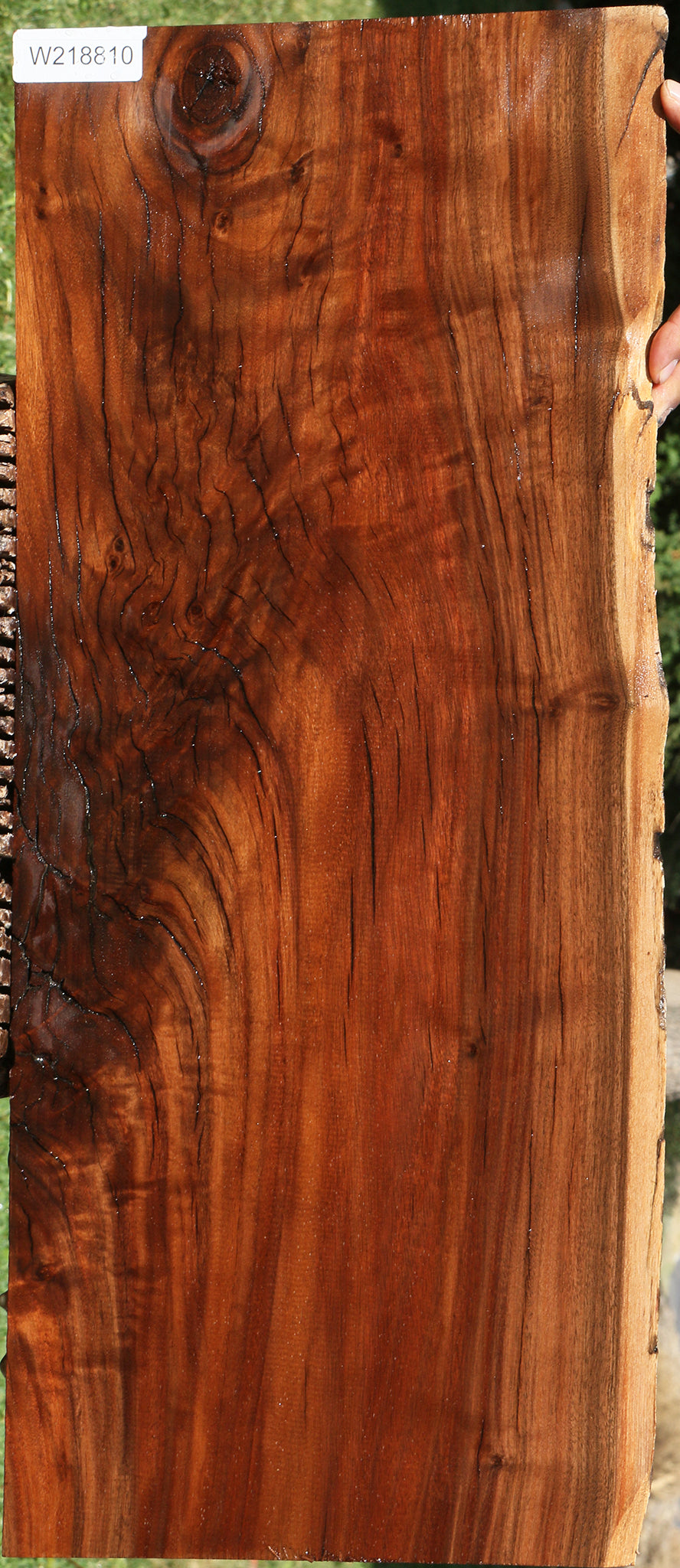 Rustic Claro Walnut Live Edge Mini Slab