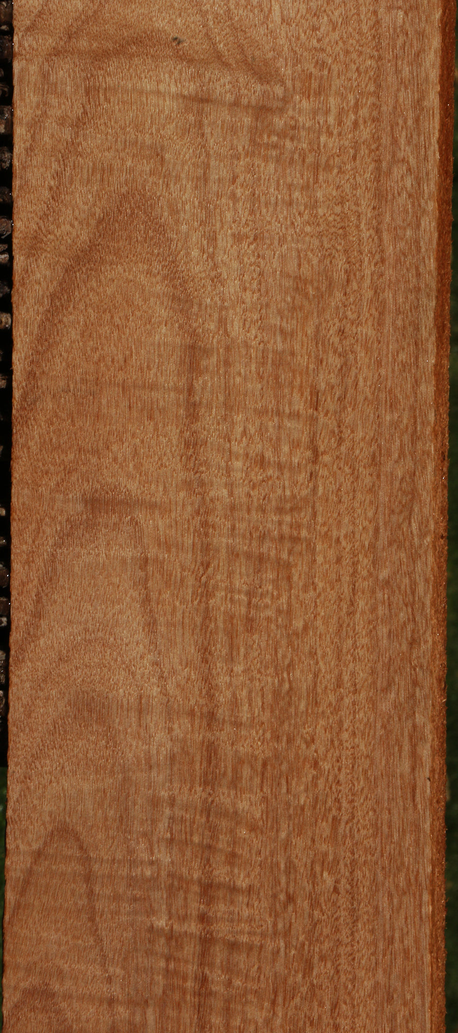 Fiddleback Okoume Lumber