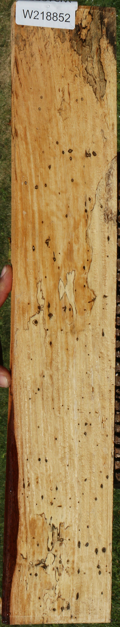 Spalted Tamarind Lumber