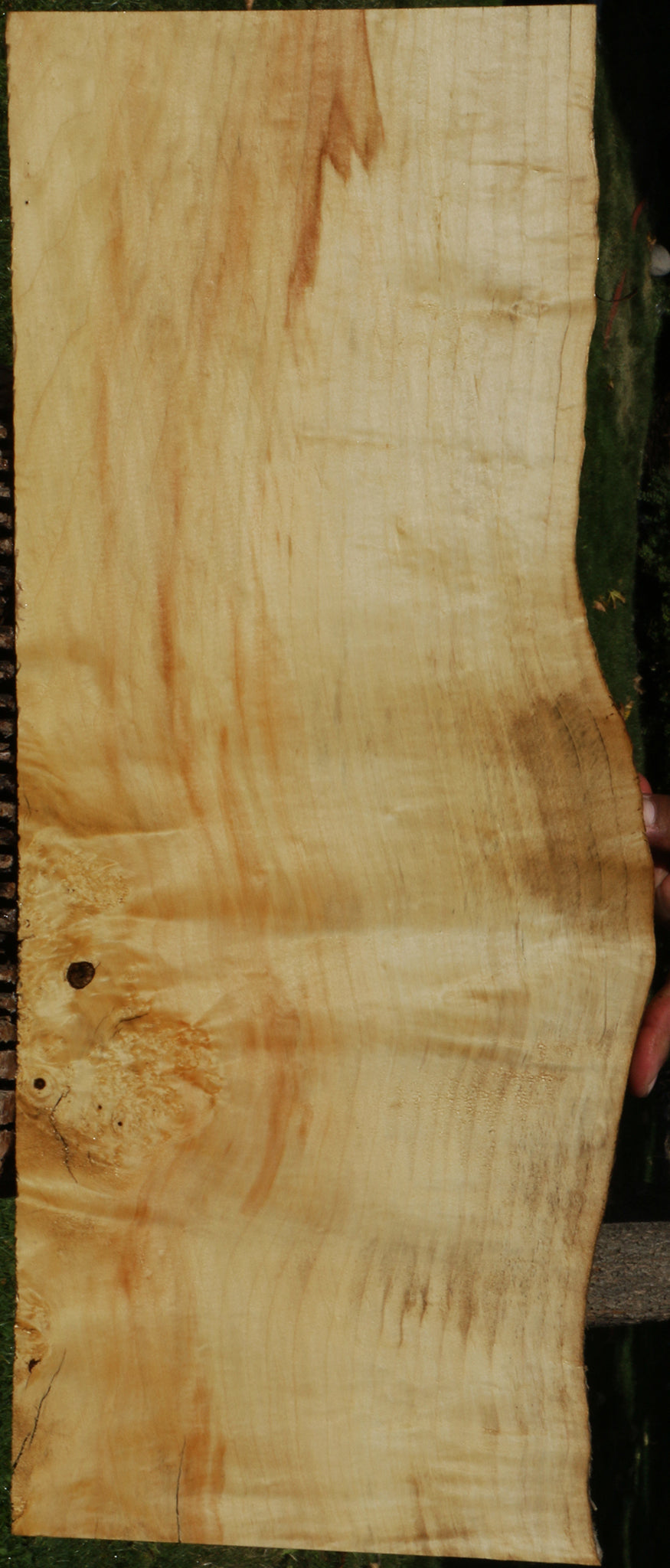 Figured Box Elder Burl Live Edge Lumber