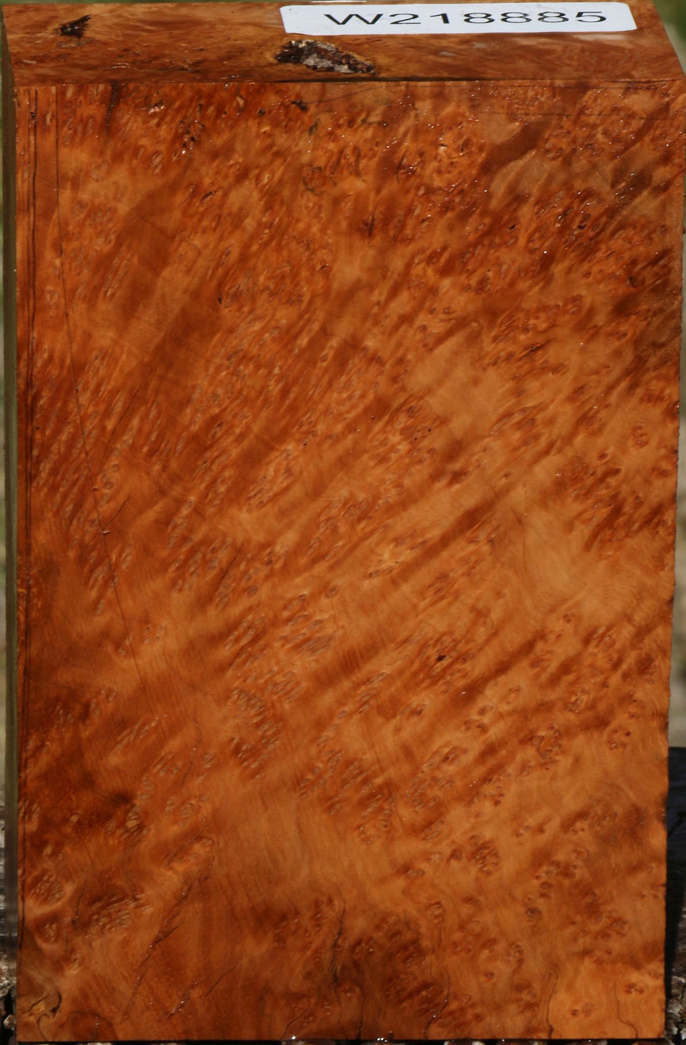 Rustic Kanista Burl Turning Blank