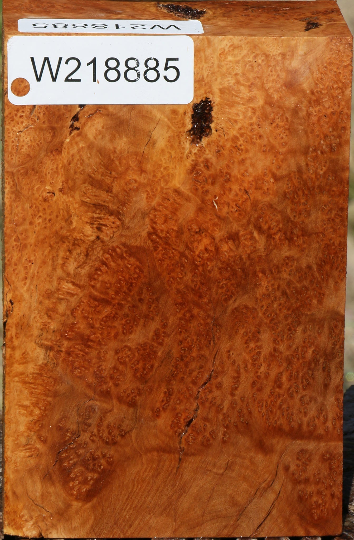 Rustic Kanista Burl Turning Blank