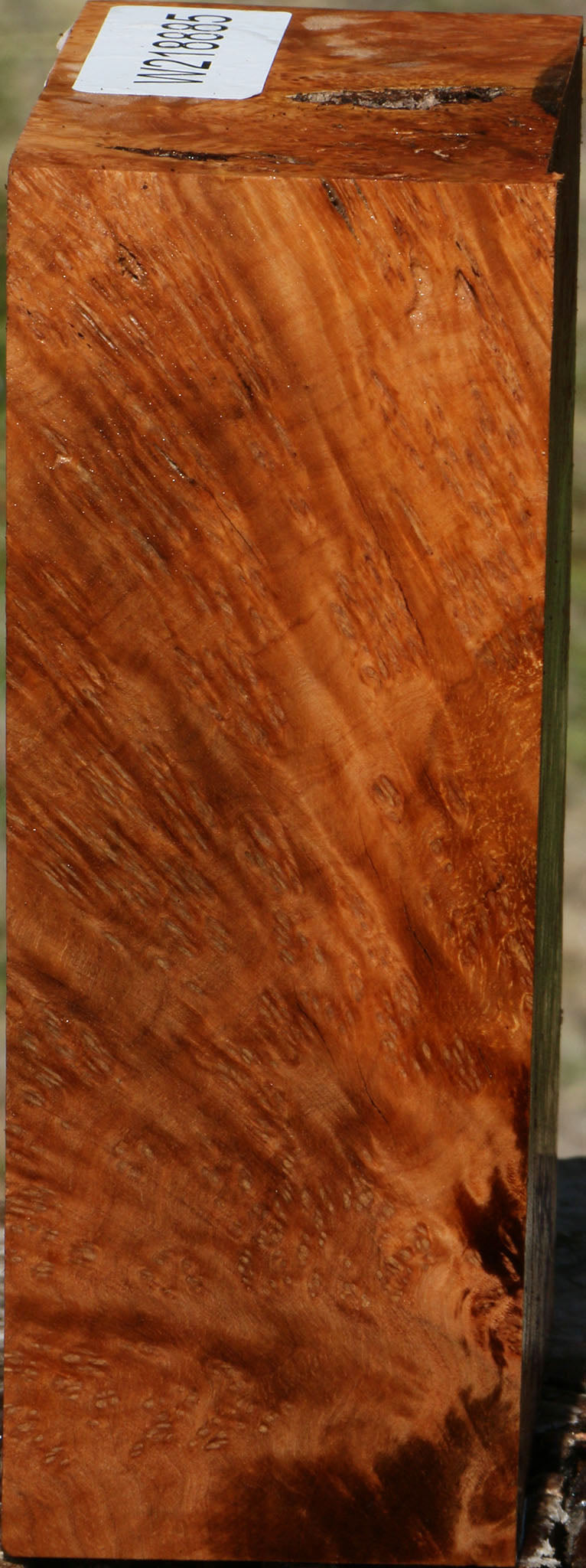 Rustic Kanista Burl Turning Blank