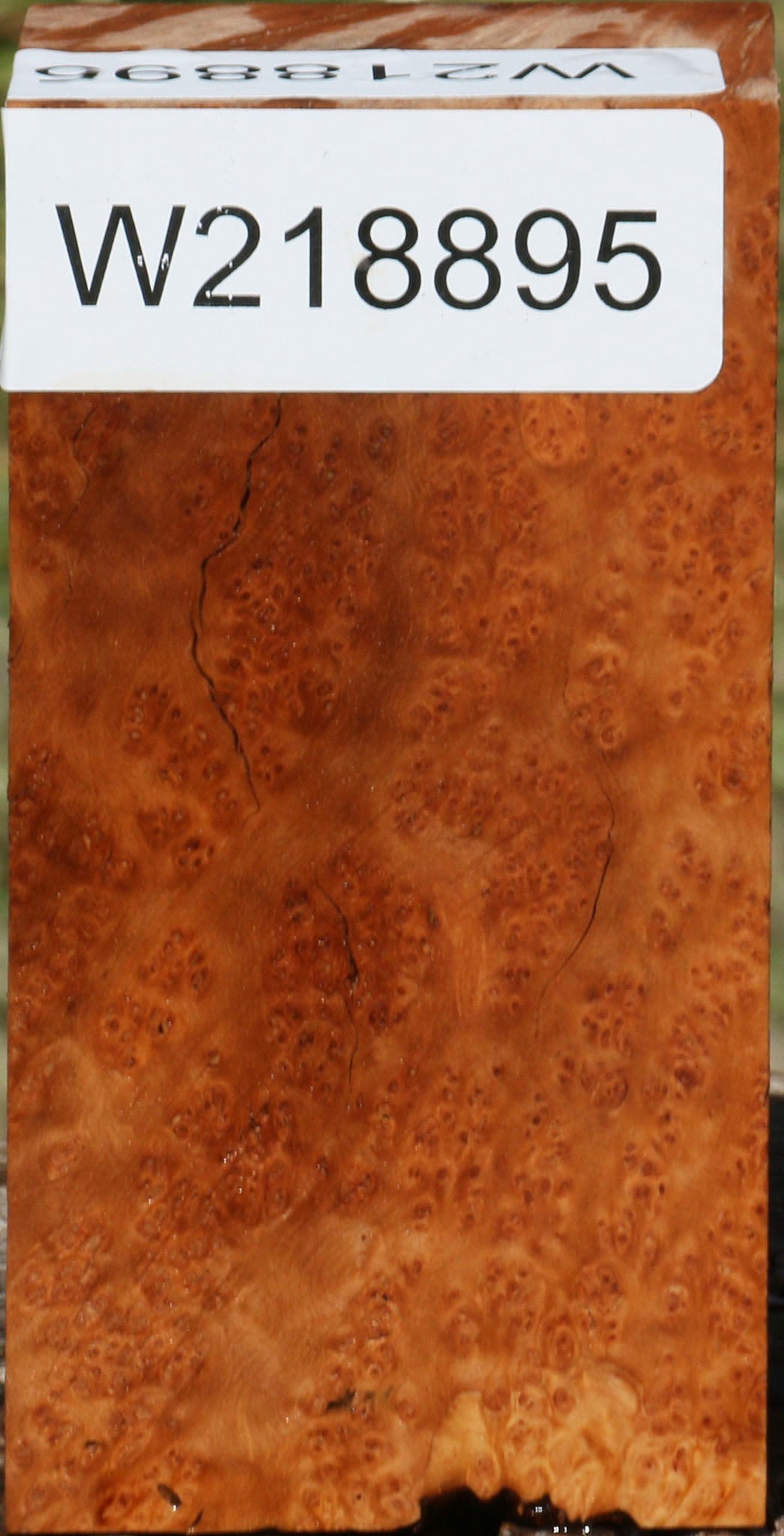 Figured Kanista Burl Turning Blank