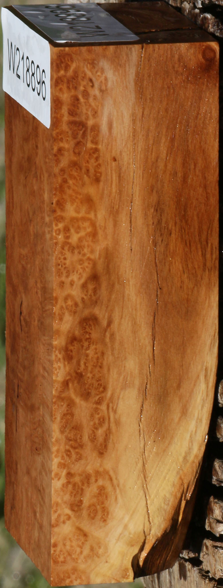 Figured Rustic Kanista Burl Turning Blank