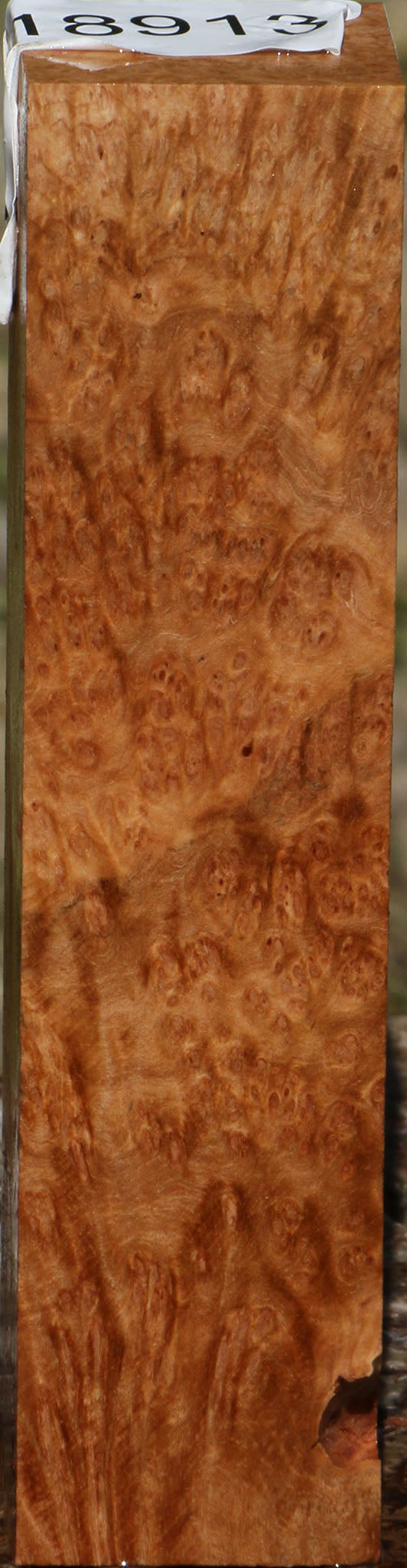 Kanista Burl Turning Square