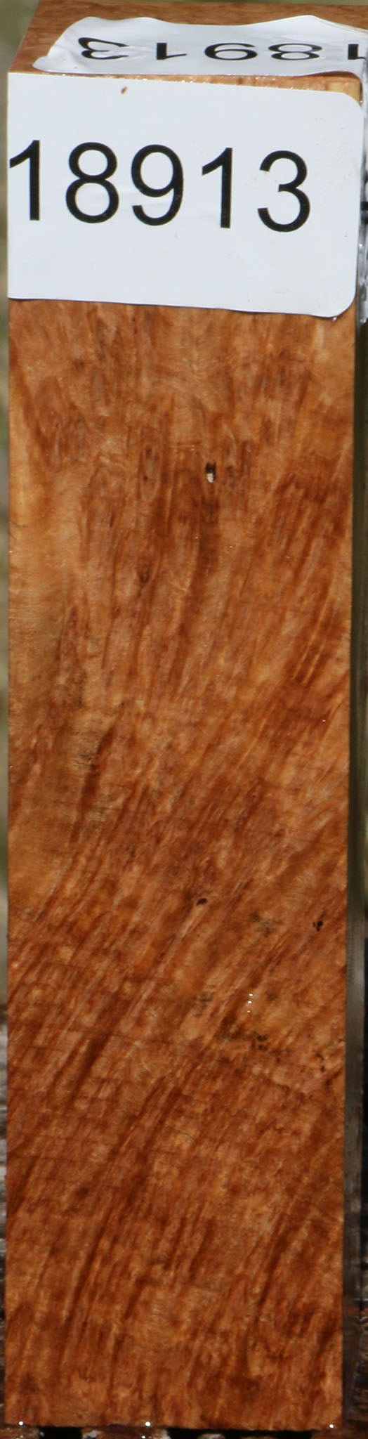 Kanista Burl Turning Square