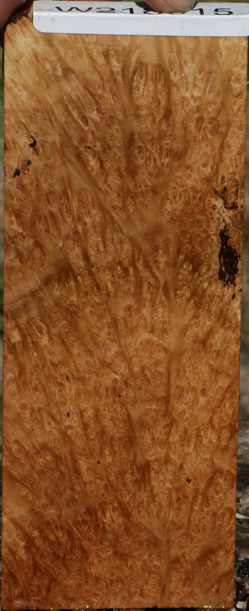 Kanista Burl Lumber