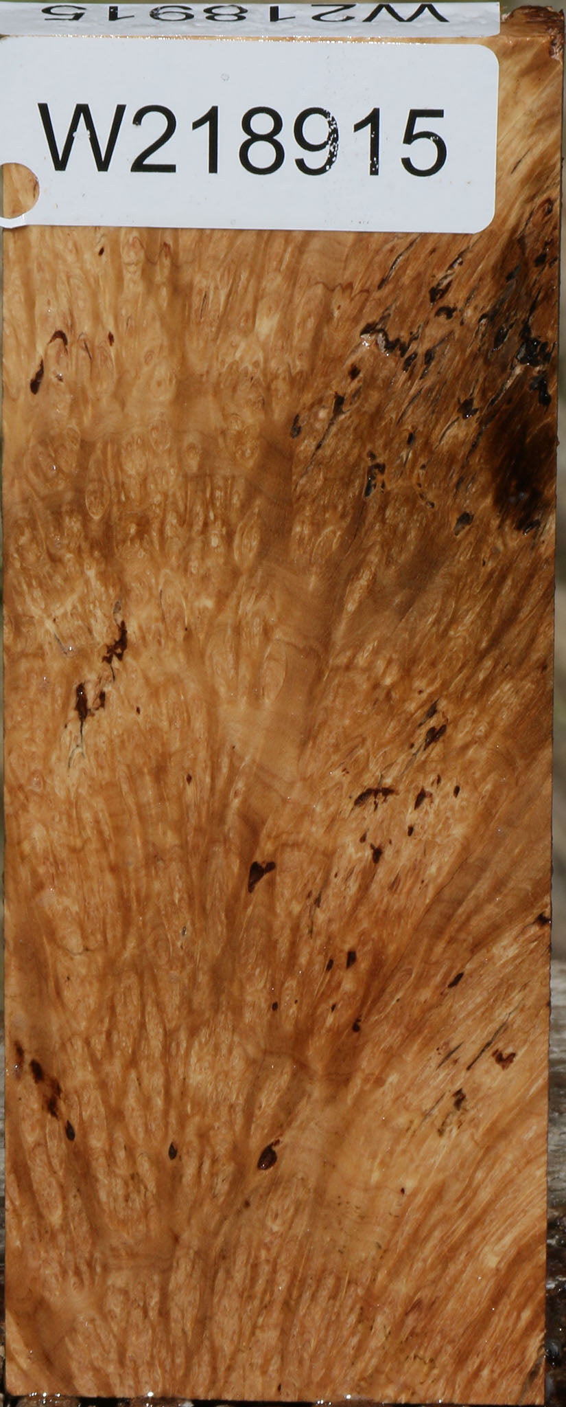 Kanista Burl Lumber