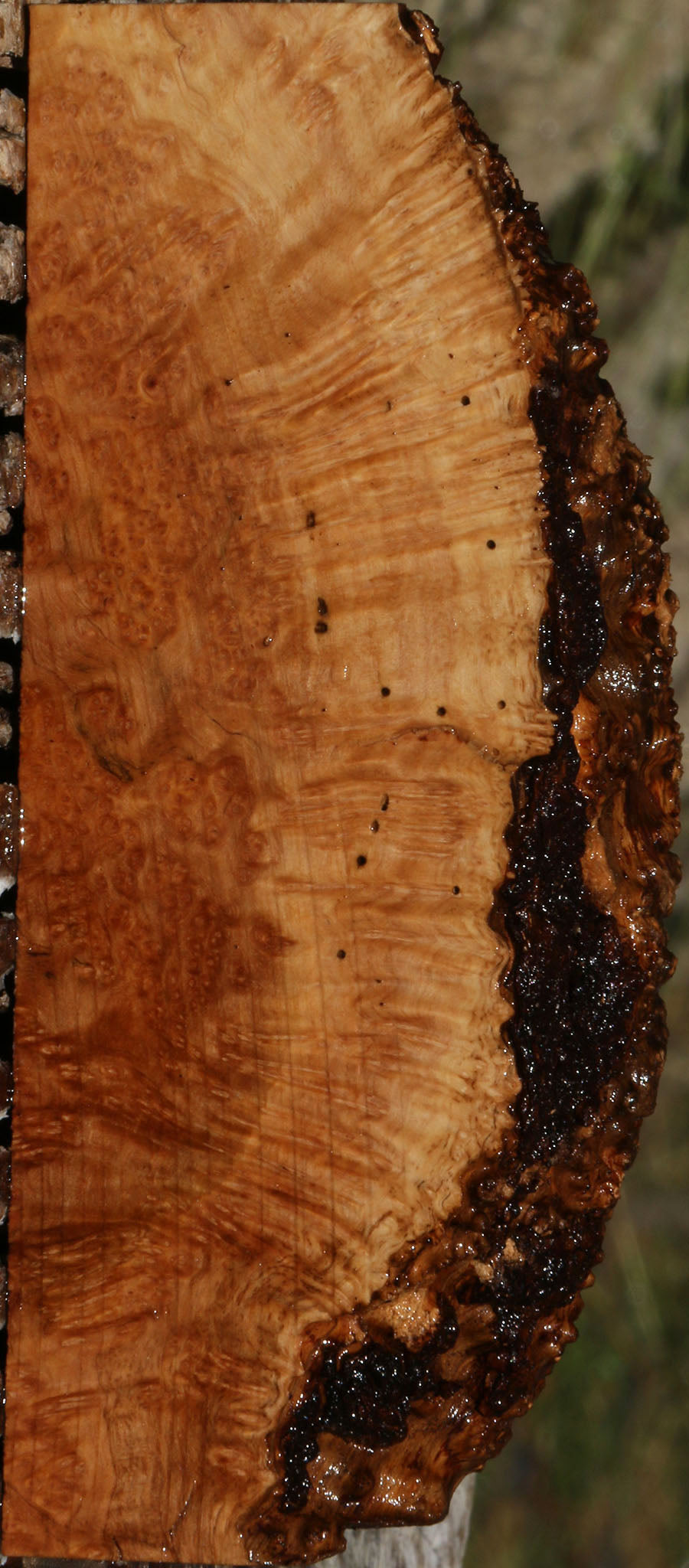 Figured Kanista Burl Live Edge Lumber