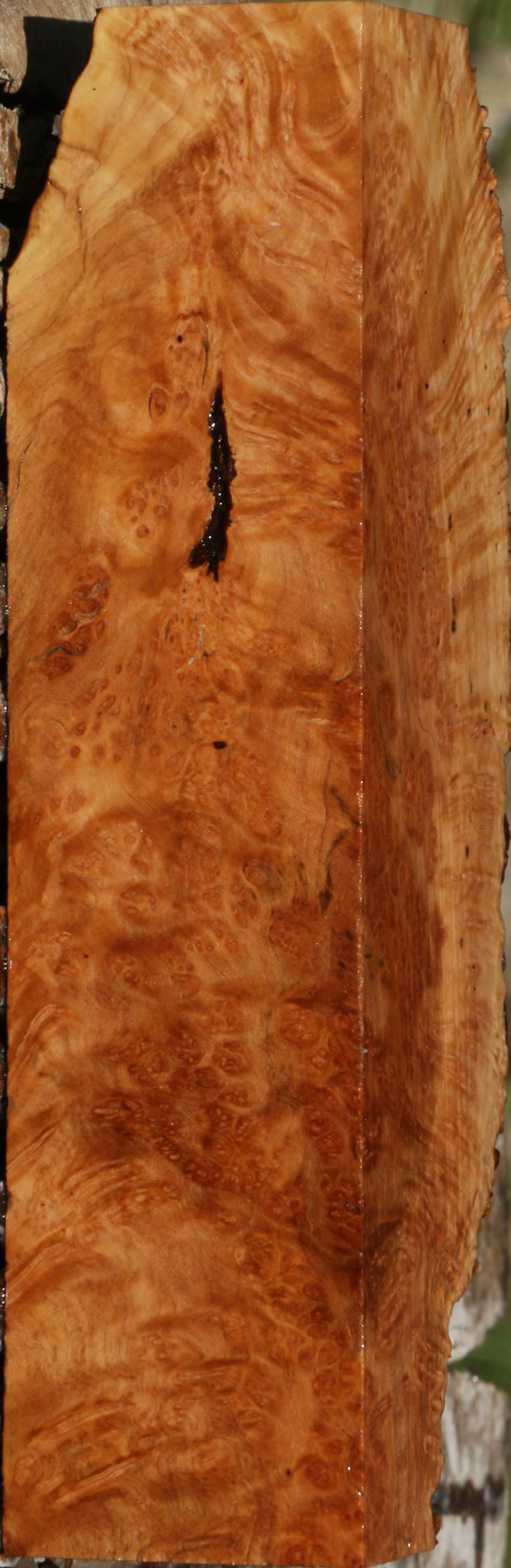 Figured Kanista Burl Live Edge Lumber