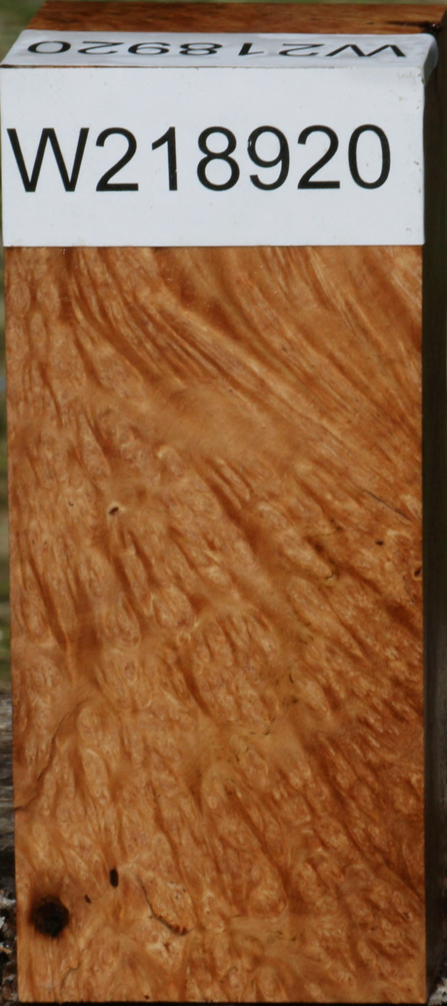 Figured Kanista Burl Turning Blank