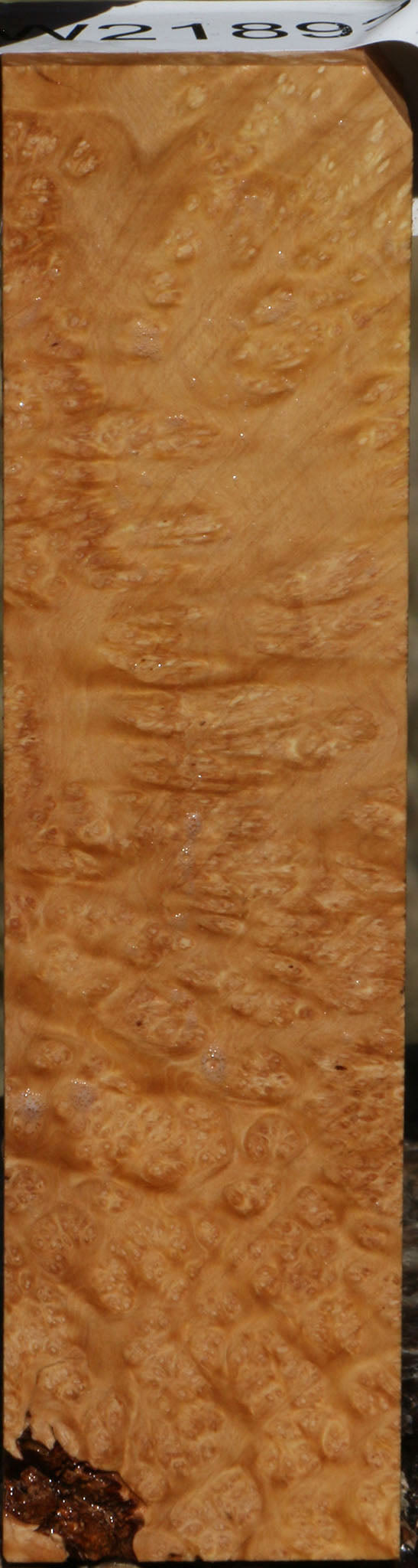 Figured Kanista Burl Turning Blank