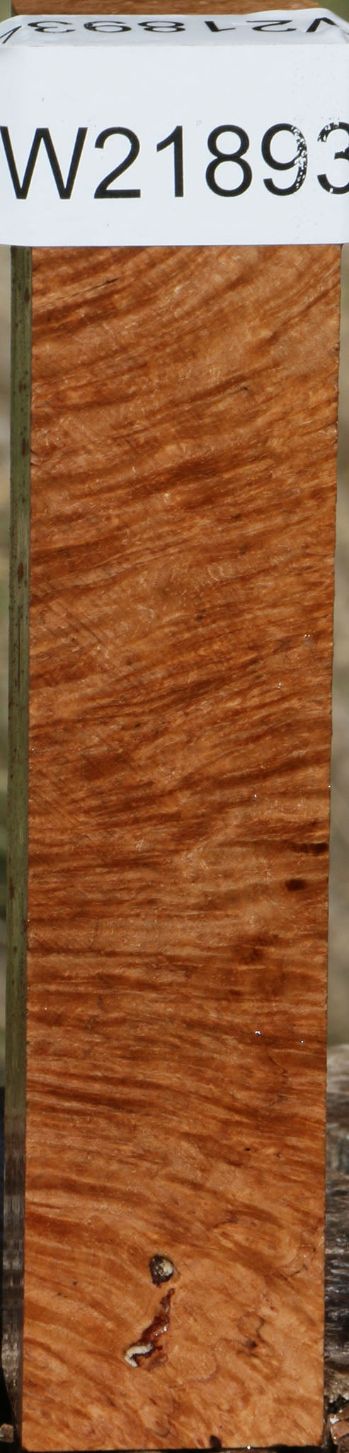 Figured Kanista Burl Turning Square