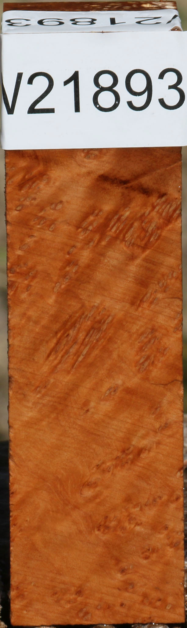 Figured Kanista Burl Turning Square