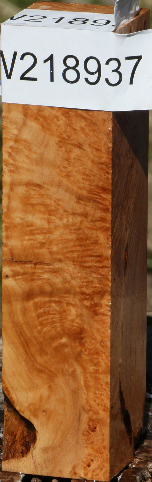 Figured Kanista Burl Turning Square