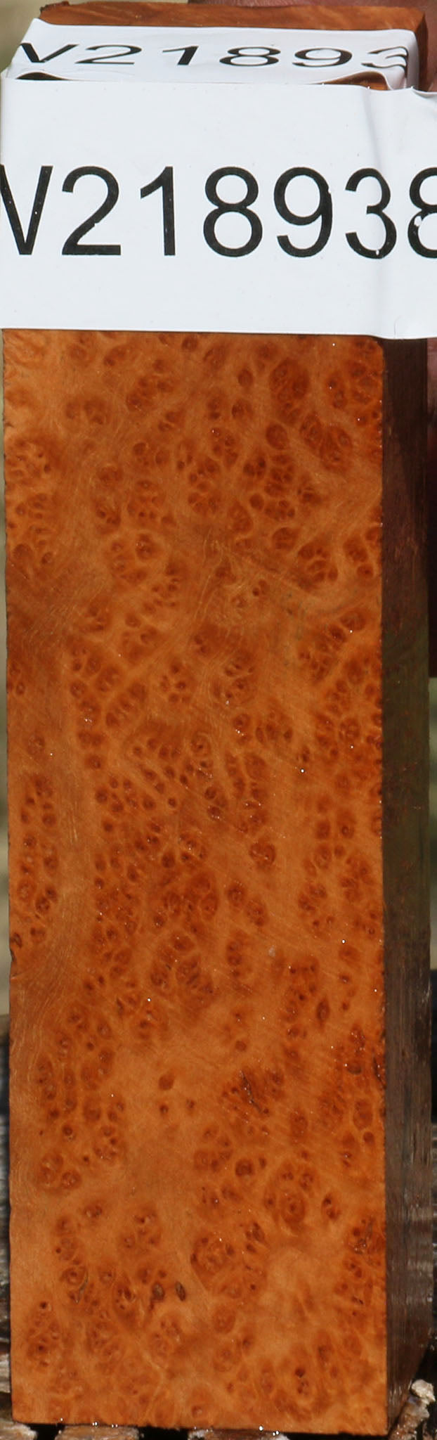 Figured Kanista Burl Turning Square