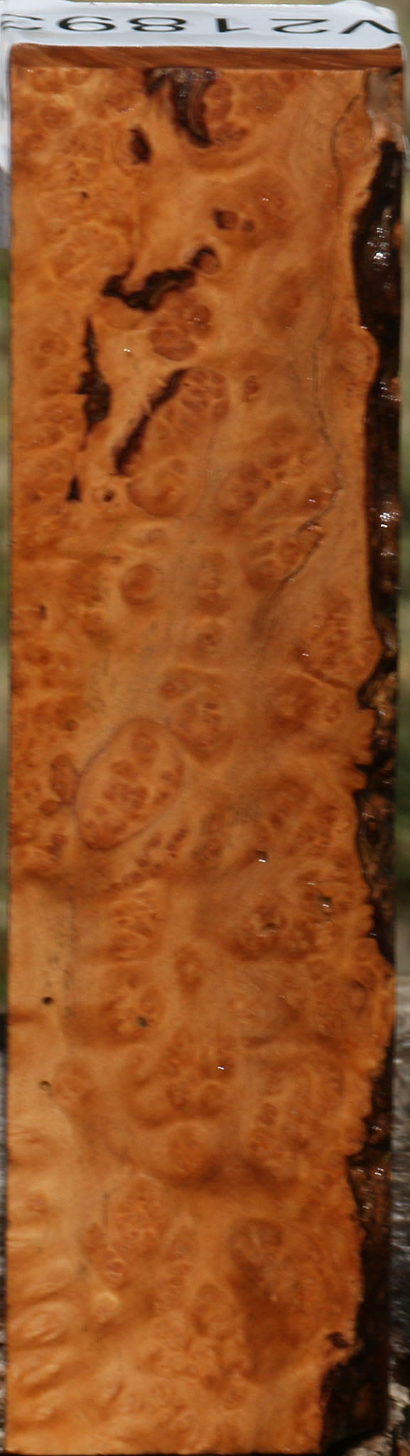 Figured Kanista Burl Turning Square