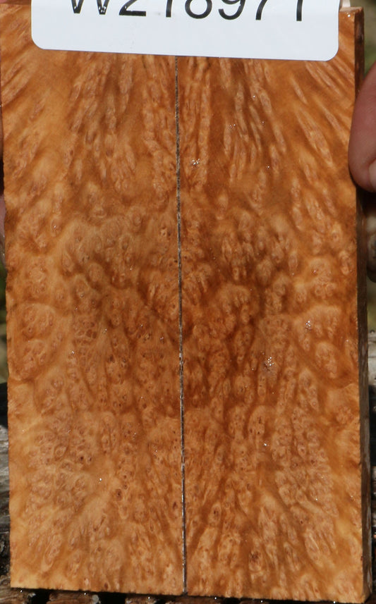 Figured Kanista Burl Knife Scales