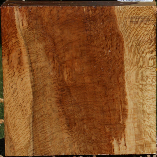 Extra Fancy Cork Oak Bowl Blank